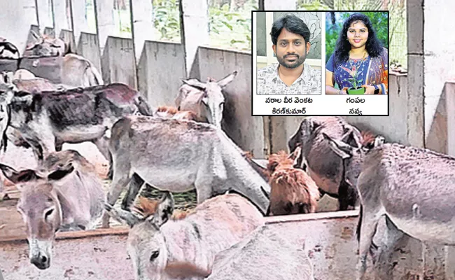 Software Engineer Quits Job To Open Donkey Milk Farm In East Godavari - Sakshi