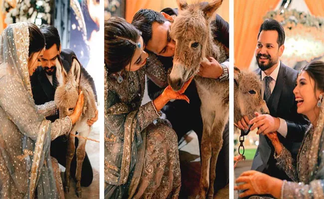 Viral Video: Pakistani Man Gifts Bride Donkey In wedding Here Is Why - Sakshi