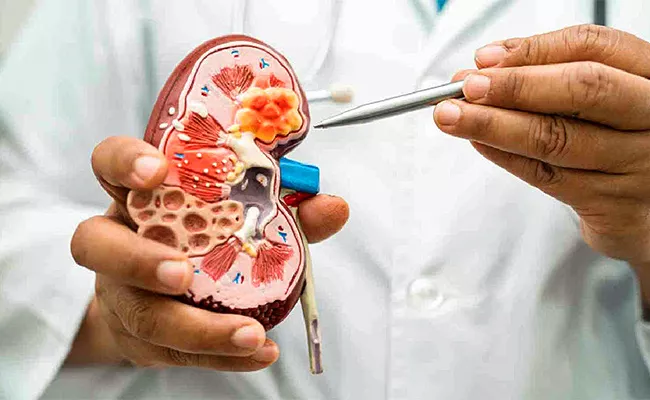 Protein In Urine Or Proteinuria Causes Early Warning Sign Of Kidney Disease - Sakshi