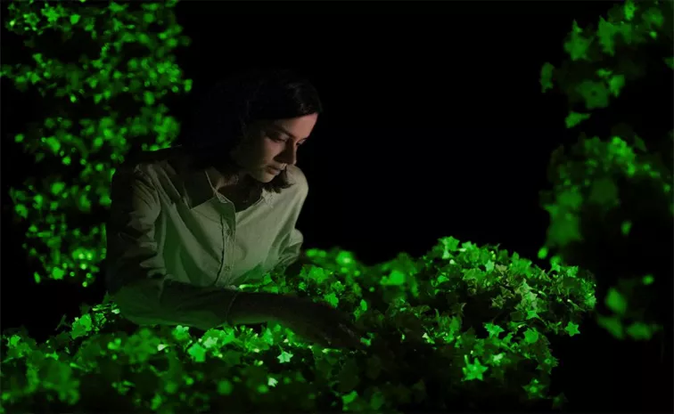 Light Bios Bioluminescent Plants Show Magic Of Biotech