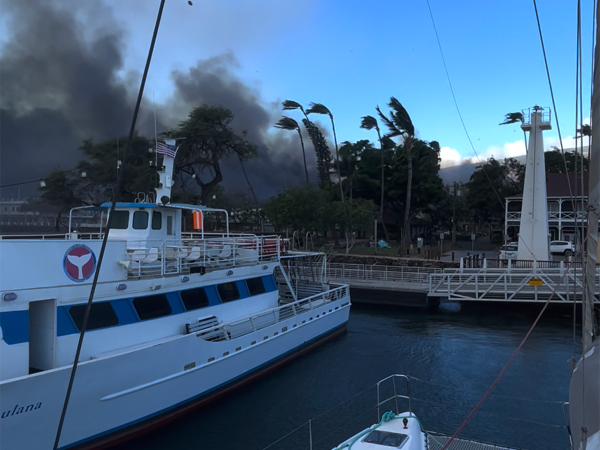 Dozens killed as wildfires ravage Hawaii island of Maui - Sakshi