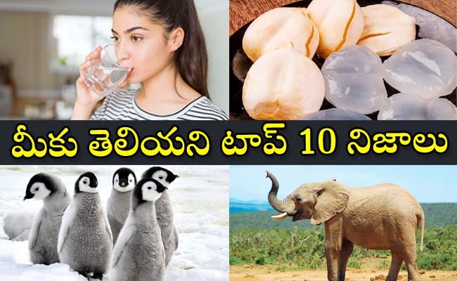 Do You Know These Facts Photos - Sakshi