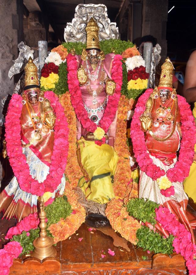 Sri Panakala Narasimha Swamy Rathotsavam Mangalagiri Photos - Sakshi