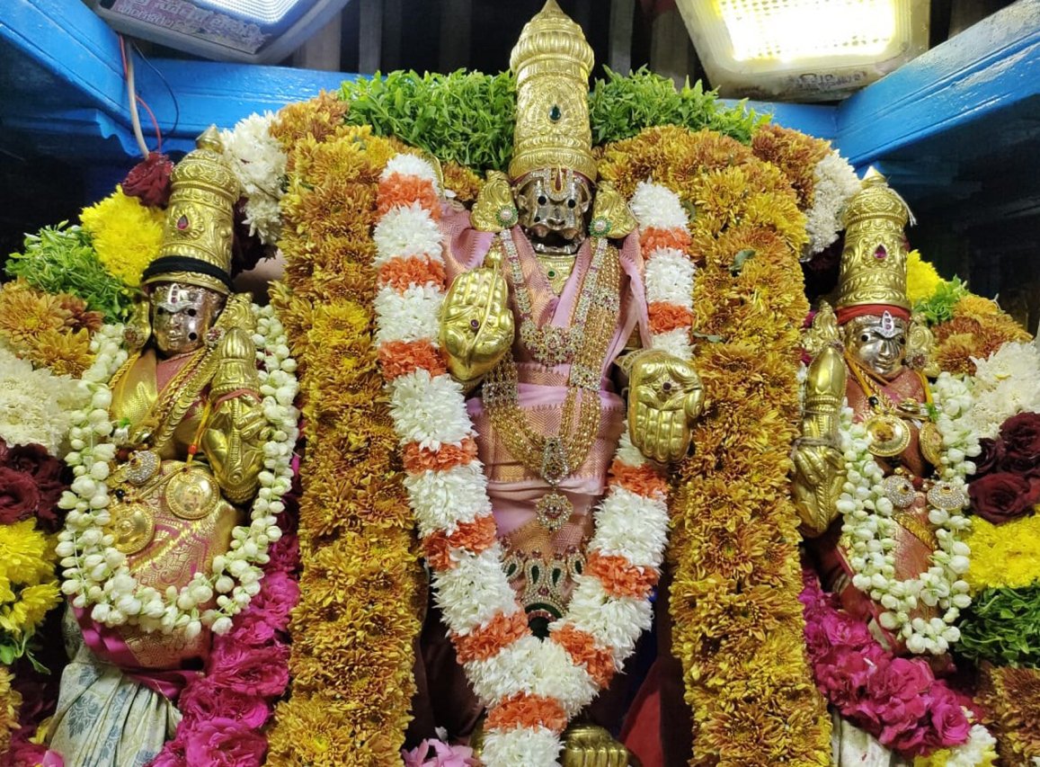 Sri Panakala Narasimha Swamy Rathotsavam Mangalagiri Photos - Sakshi