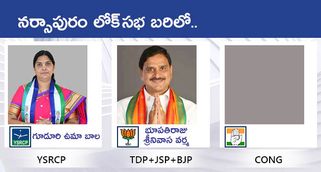 Lok Sabha Elections 2024 AP All MP Candidates District Wise List With Photos Gallery - Sakshi