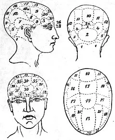  Cranial massage