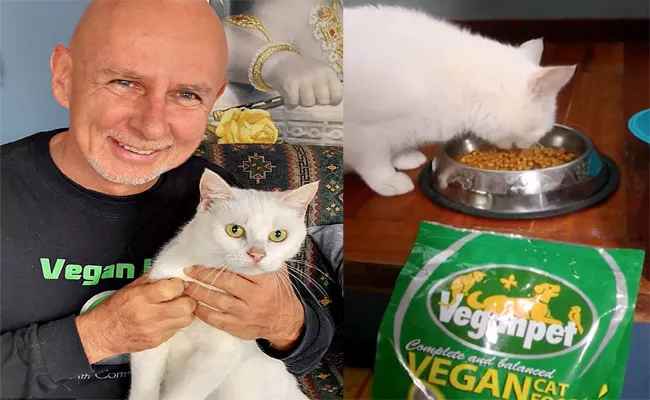 Australia Man Puts Pet Cat In Veganism - Sakshi
