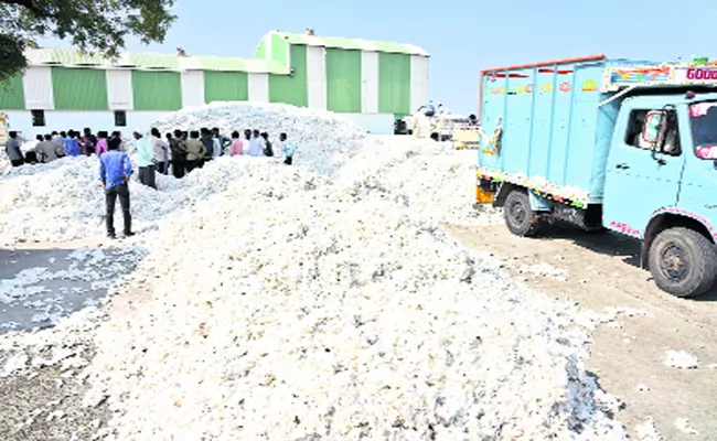 Cotton Yield Decreased In Adilabad - Sakshi