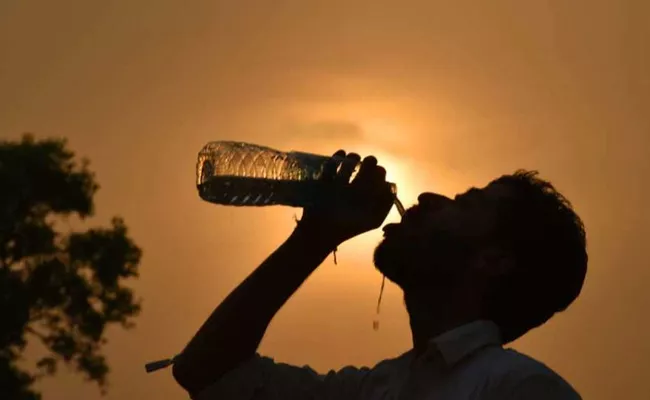 Sunstroke effect on MPTC ZPTC polls in Telangana - Sakshi