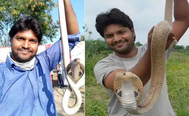 Snake Lover Dies After Being Bitten By A Snake In Sangareddy District - Sakshi