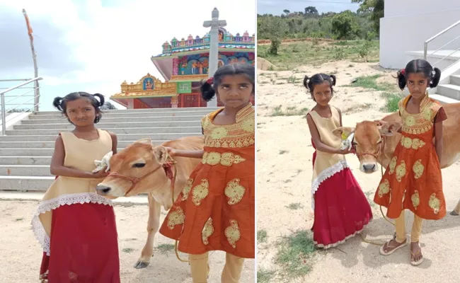 Special Story About Girl How Affection With Cows Calf In Palamaneru, Chittoor - Sakshi