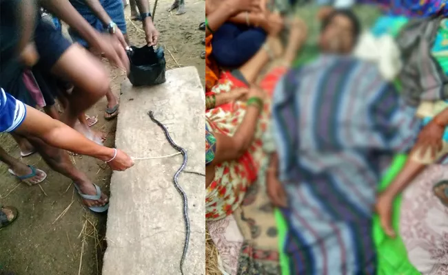 Venomous Snake Bites Three Members In A Family In Mahabubabad - Sakshi