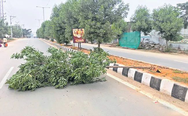 Rs 9500 fine for the Tree collapse - Sakshi