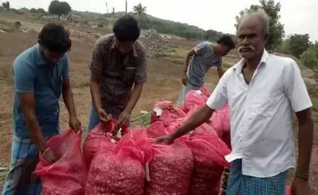 350 KGs Of Onions Stolen From Farmer In Tamil Nadu - Sakshi