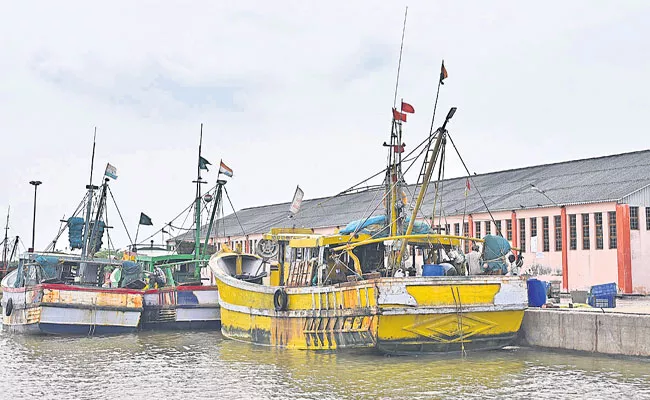 AP Government Focus On Development Of Bandar Fishing Harbor - Sakshi