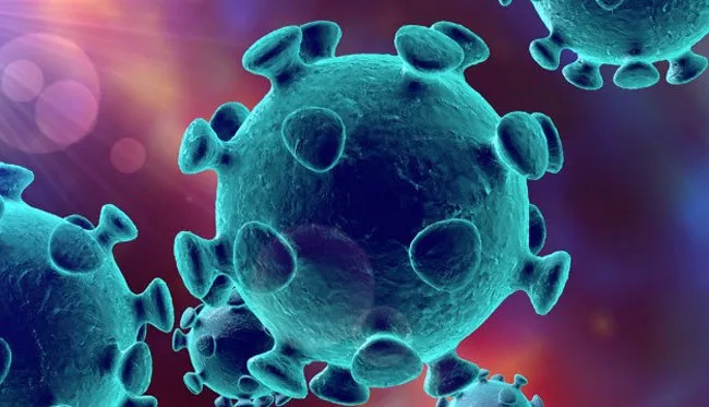 Latin America sees surge of coronavirus cases on Record levels - Sakshi