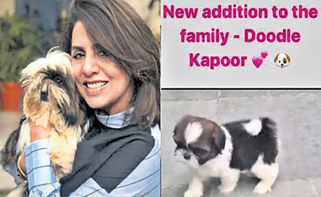 Neetu Kapoor Daughter Gift Pet Dog to Her Mom Divert Depression - Sakshi