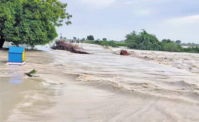 Heavy rains lashed several districts in Andhra Pradesh - Sakshi