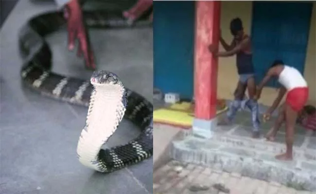 Snake Enters In Pant In Uttar Pradesh - Sakshi