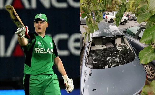 Kevin OBrien Smashes His Own Car Window With Massive Six Became Viral - Sakshi