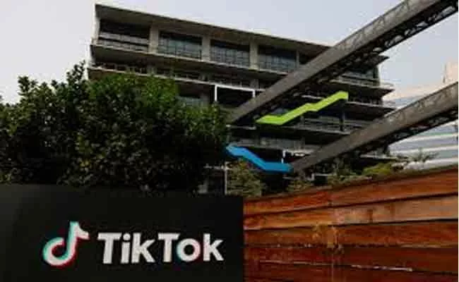 TikTok Removes Three Crore Videos From India - Sakshi