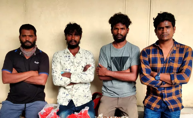 Task Force Police Seize 800 KG Ganja In Vijayawada - Sakshi