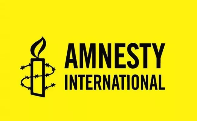 Amnesty International to halt India operations - Sakshi