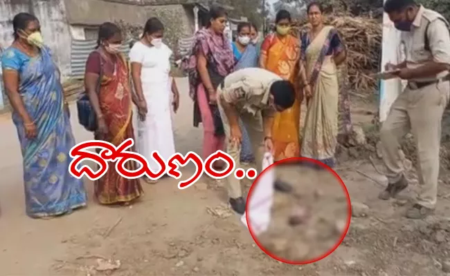 West Godavari: Dogs Dragged Infant Body To The Road - Sakshi