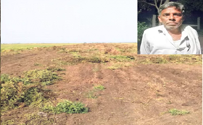 TDP MLC Btech Ravi Aides Destroy Groundnut Farm in YSR District - Sakshi
