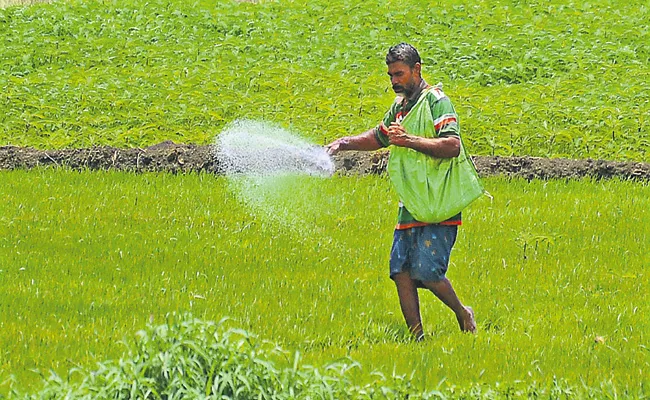 Plenty of fertilizer available during Rabi season in AP - Sakshi