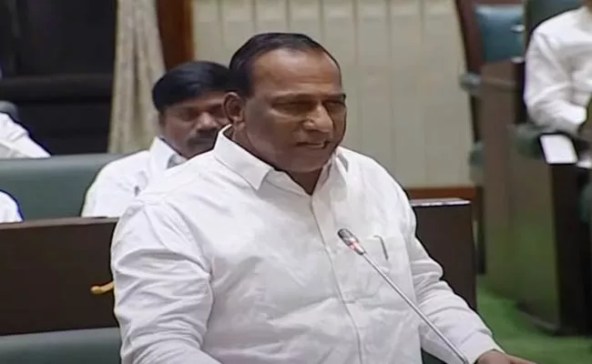 Telangana Assembly: Funny Incident On Minister MallaReddy Words - Sakshi