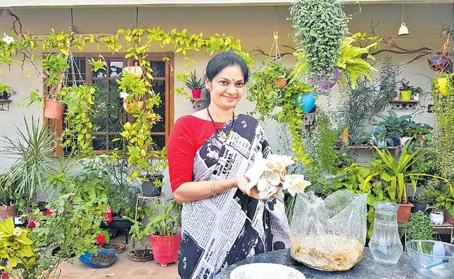 Terrace Gardening Mad Gardener Madhavi Special Story - Sakshi