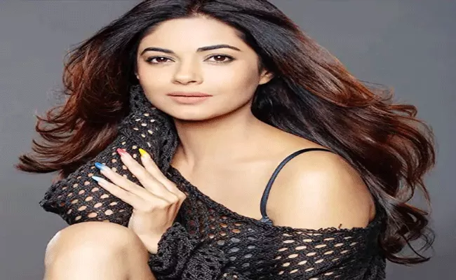 Actress Meera Chopra Fires On Central Government - Sakshi