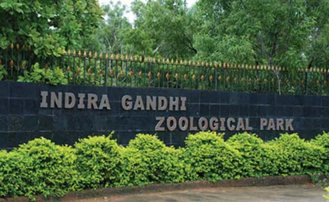 Closure Of All Zoo Parks In Andhra Pradesh - Sakshi