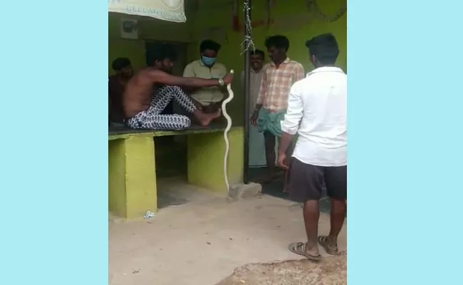 Man Carries Snake To  Hospital After Being Bitten In Karnataka - Sakshi