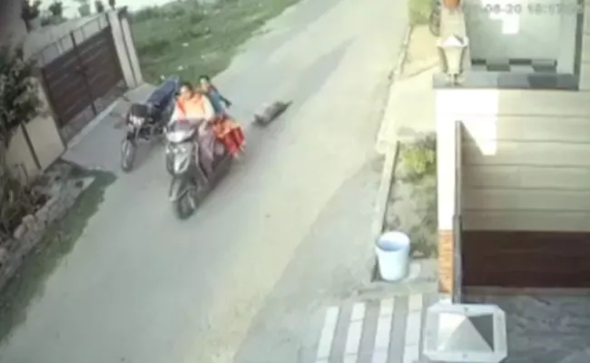 Viral Video: Two Patiala Women Tie Dog To Two Wheeler Drag It - Sakshi