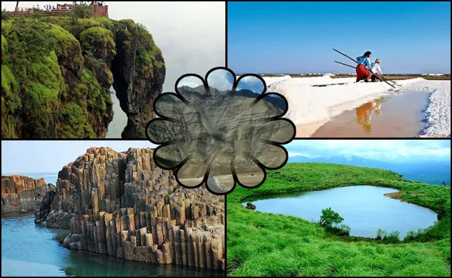 June 5th World Environment Day Environmental Wonders In India - Sakshi