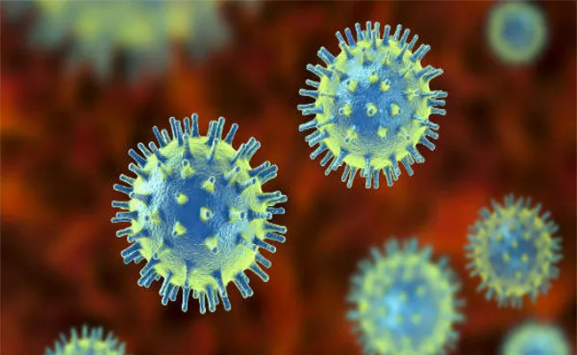 Delta Mutation Coronavirus Is More Dangerous It Will Spoil All Organs In Human Body - Sakshi