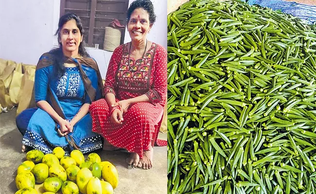 Chennai Woman Doing Organic Agriculture - Sakshi