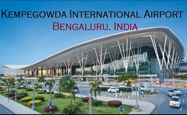 Custom Officers Seized Red Sandalwood In Karnataka At Kempegowda Airport - Sakshi