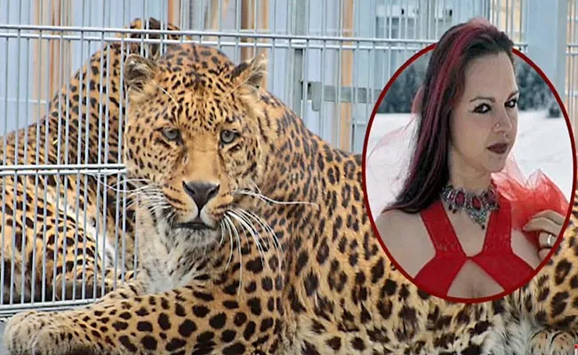 German Model Jessica Leidolph Attacked By Leopard While Photoshoot - Sakshi