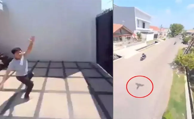 Viral Video: Parrot Flies Away With Phone As Boy Runs After It - Sakshi