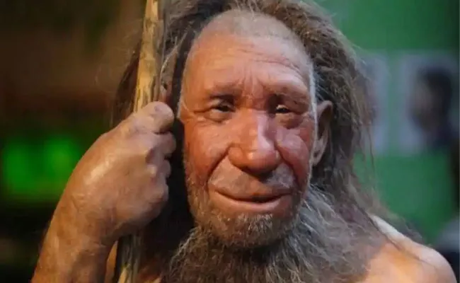 Neanderthal Population Might Have Declined Due To Intercourse With Humans - Sakshi