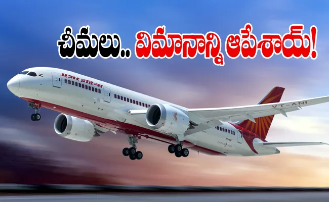 Delhi-London Air India flight delayed after ants found in business class - Sakshi