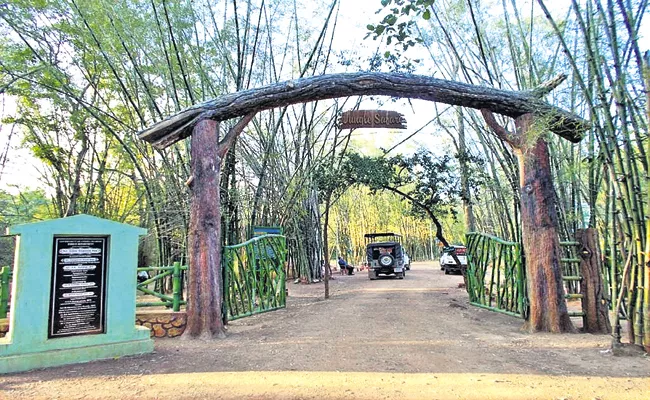 Impressive Jungle Safari Andhra Pradesh - Sakshi