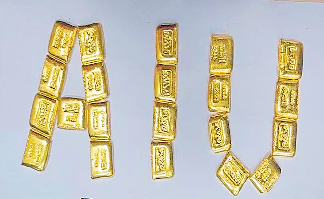 DRI Officials Seized 1207 Gram Gold At Shamshabad Airport - Sakshi