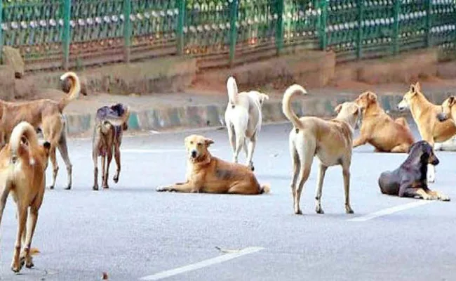 Case Filed Against sarpanch Who Killed dogs in karimnagar - Sakshi