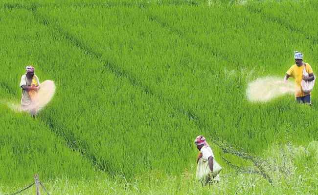 Crop loans to real cultivators Andhra Pradesh - Sakshi
