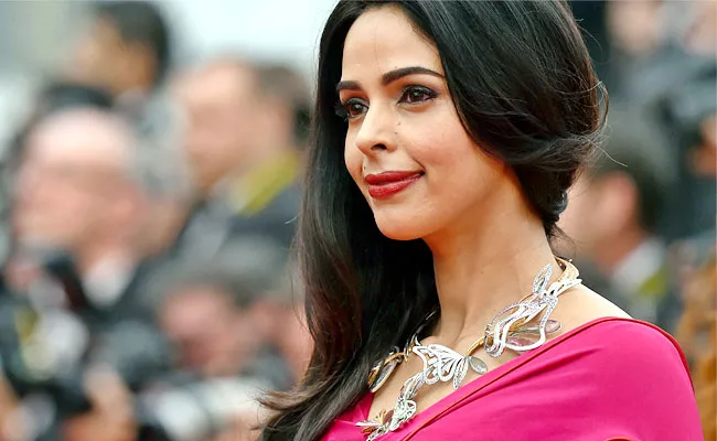 Mallika Sherawat Revealed a Weird Concept for Hot Song Sequence - Sakshi