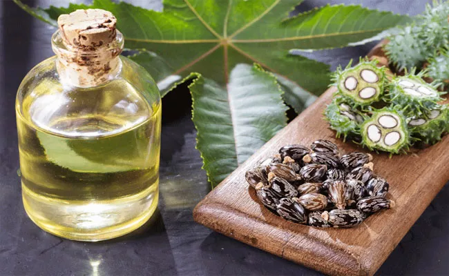 Castor Oil Benefits For Skin And Hair In Telugu - Sakshi